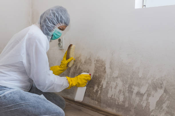 Best Asbestos and Lead Testing During Mold Inspection  in Icard, NC