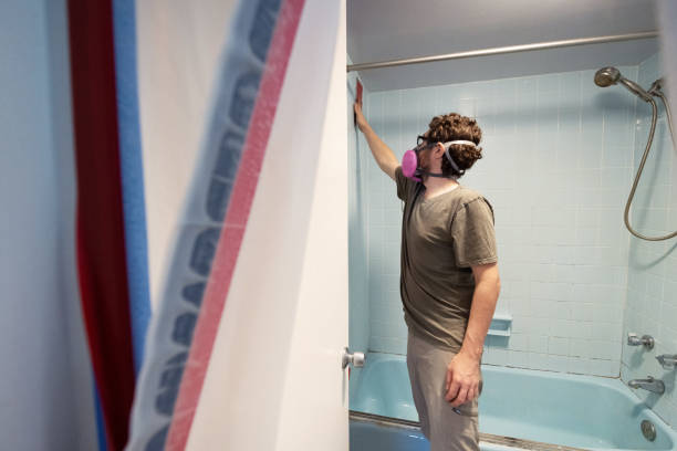 Icard, NC Mold Removal Company