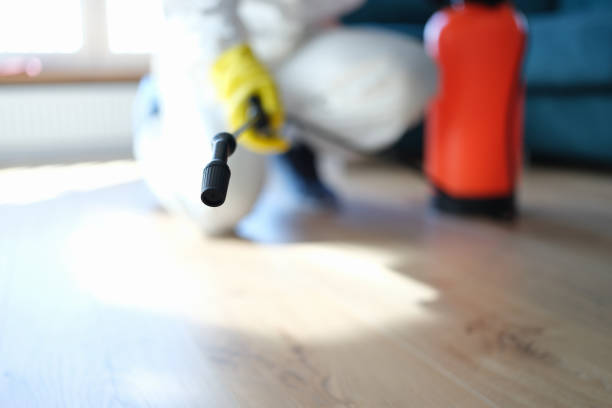 Best Crawl Space Mold Remediation  in Icard, NC